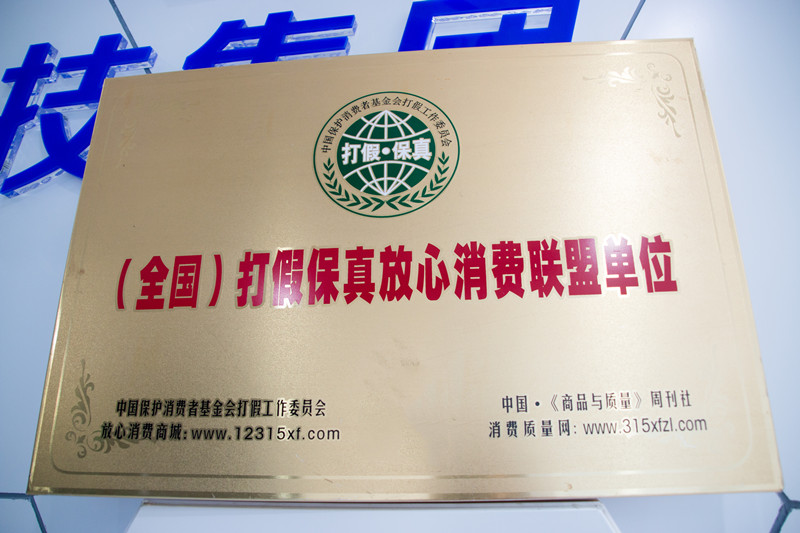 2017年-（中国）有限公司集团荣誉