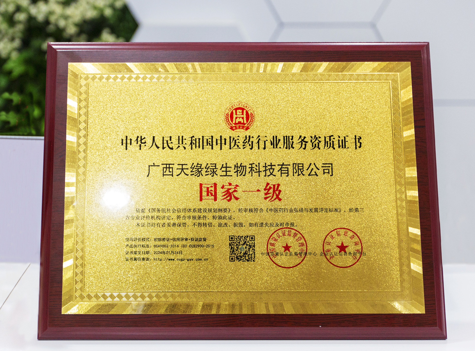 2024年-（中国）有限公司集团荣誉