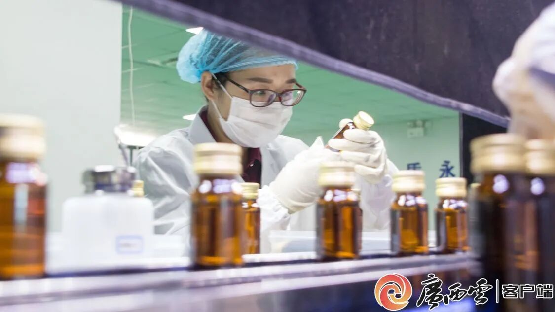 广西日报聚焦（中国）有限公司：从产品创新到行业标准，引领芭蕉健康产业升级